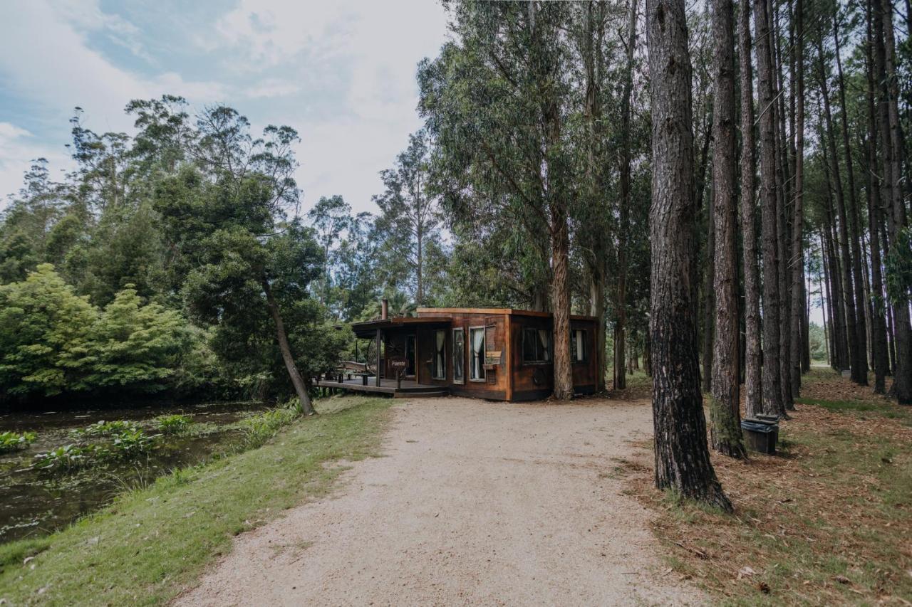 Cabañas en el Bosque a 5 minutos del mar - Estancia CH Punta del Este Exterior foto